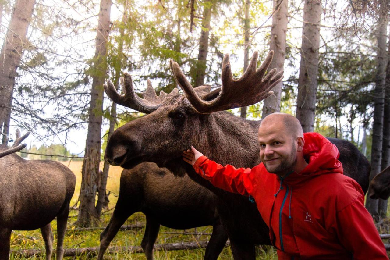 Orrviken Moose Gardenヴィラ エクステリア 写真